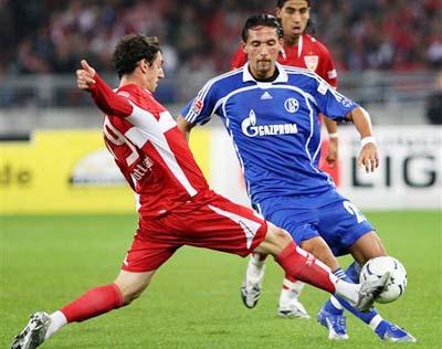 健康发展的 健康发展的